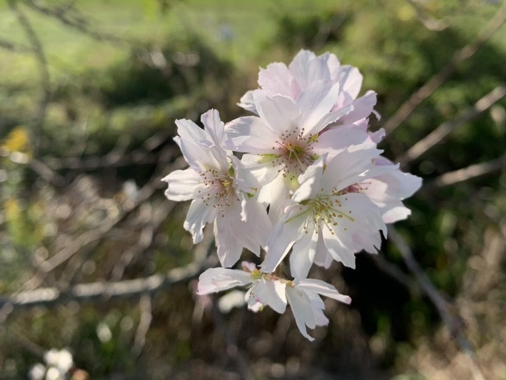 各SNSのフォローをお願いします。